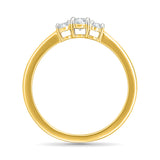 Quincy Ring